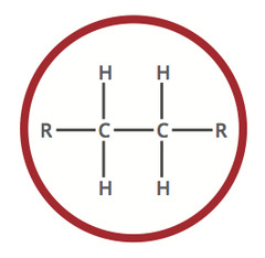 <p>A hydrocarbon containing only single covalent bonds (C-C)</p>