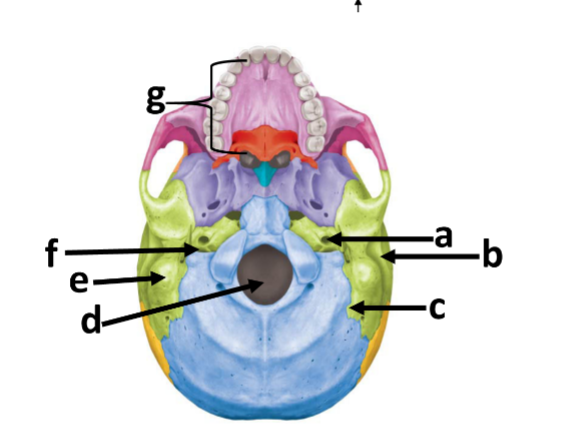 <p>B</p>