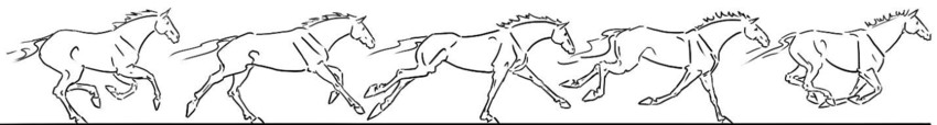 <p>natural 4 beat gait, the extension of a canter/lope with 1 beat of suspension between each series of 4 beats</p><p>~15-18 mph (record ~38 mph by Thoroughbred, ~40 mph short distance record by Quarterhorse)</p>