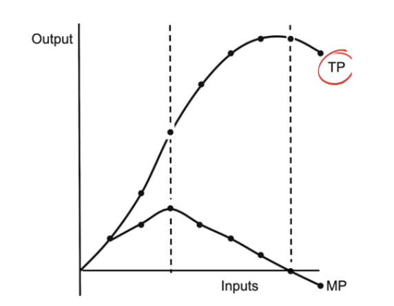 <p><span style="line-height: 1.5rem;"><span>TP: Total Product Produced</span></span></p><ul><li><p><span style="line-height: 1.5rem;"><span>As you hire more workers it increases at an increasing rate, then it increases at a decreasing rate, then eventually it starts to decrease</span></span></p></li></ul><p><span style="line-height: 1.5rem;"><span>MP: Marginal Product Produced</span></span></p><ul><li><p><span style="line-height: 1.5rem;"><span>MP increases as workers increase at an increasing rate, but decreases when it increases at a decreasing rate. Each worker still increases output, but at a less rate than before. This might be due to inefficiencies (Law of Diminishing Returns). When TP starts to decrease, MP will go into the negatives, meaning adding one more worker reduces total output.</span></span></p></li></ul><p></p><p><span style="line-height: 1.5rem;"><span>*Kinda not a high chance to have a question just about this, but good to know in case to elaborate on other cases.</span></span></p>