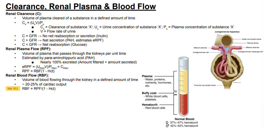 <p>Answer: Approximately 20–25% of cardiac output.</p><p>Extra Information:</p><ul><li><p>This value is marked as high yield on the Bootcamp slide.</p></li></ul><p></p>