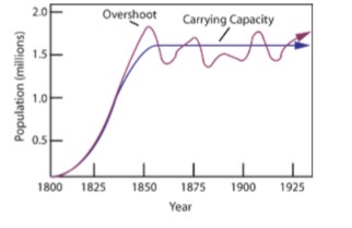 <p>Carrying capacity</p>