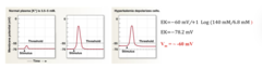 <p>-easier to trigger an action potential because you are sitting at a value closer to threshold</p><p>-problems with resetting Na+ voltage-gated channels - does NOT hyperpolarize</p><p>-manifests as HYPERexcitability and cardiac abnormalities - signals slow down to the heart since the gates of Na+ are NOT reset</p>