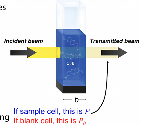 <ul><li><p>we track <strong>fraction of power lost</strong> as light passes through a sample</p></li><li><p><strong>transmittance </strong>(T) = P/P0</p><ul><li><p>power through sample cell over power through blank cell (containing only matrix) to account for phenomena that causes loss of power (like scattering)</p></li></ul></li><li><p>data often reported in <strong>absorbance </strong>(A)</p><ul><li><p>A = -logT = -log(P/P0) = log(P0/P)</p></li></ul></li></ul><p></p>