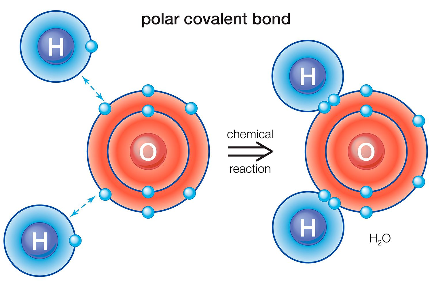 <p>Unequal sharing of electrons, partial charge (within one water molecule/H2O)</p>