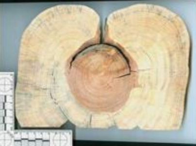 <p>What is this and what does it show?</p>