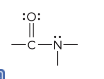 <p>What functional group is this and what is the prefix/suffix</p>