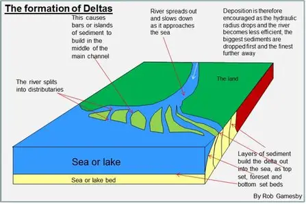 <ul><li><p>NOT all rivers have these</p></li><li><p>landforms created by deposition or sediment that is carried by a river as the flow leaves it’s mouth</p></li></ul><p></p>