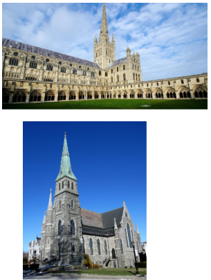 term image