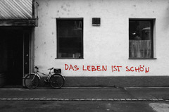 <p>to live</p>