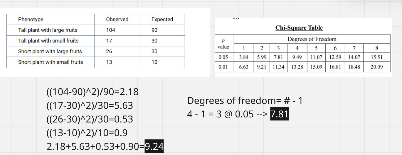 <p>A) The calculated chi-square value is 9.24, and the critical value is 7.82. The null hypothesis of independent assortment can be rejected.</p>