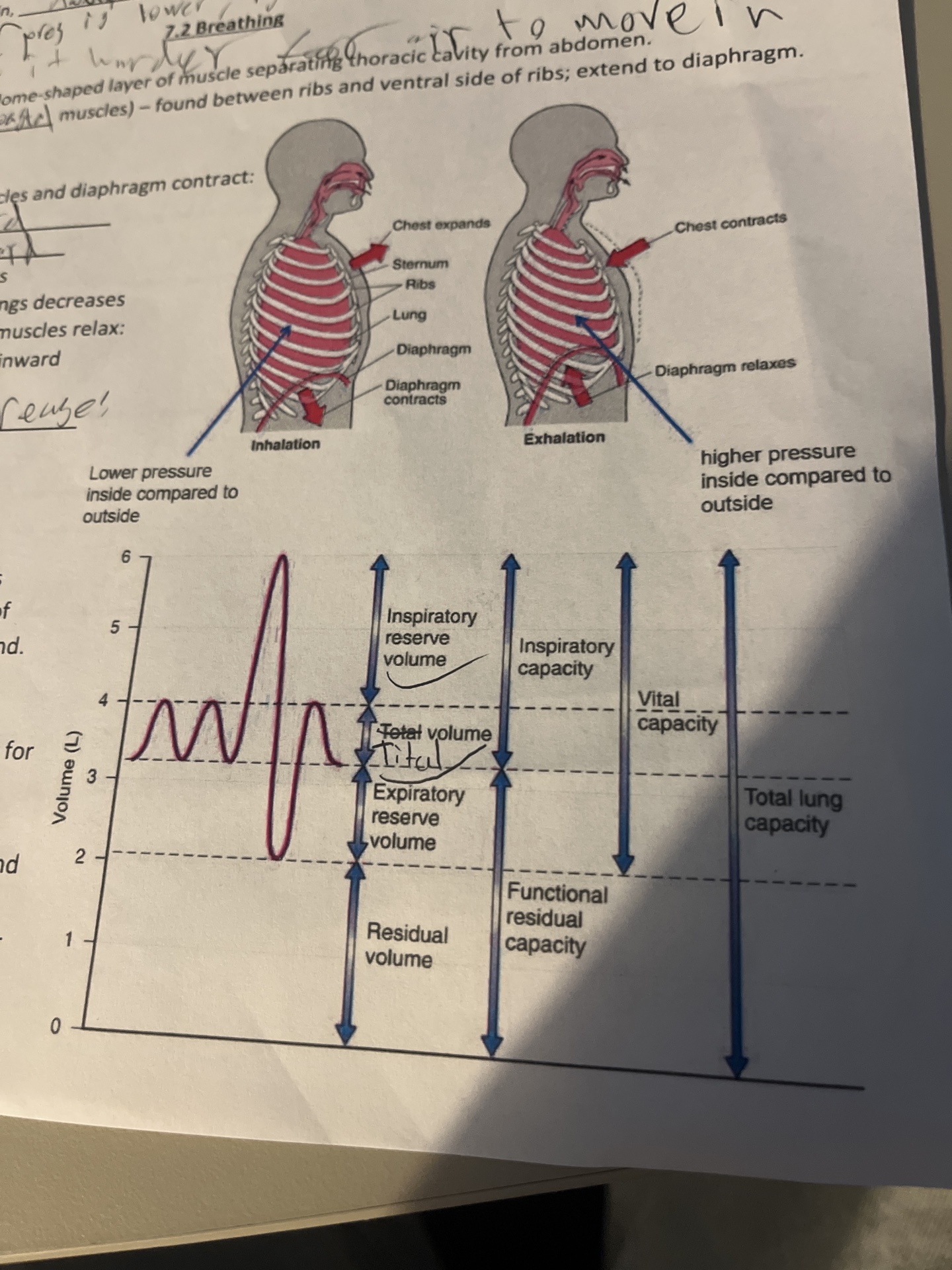 knowt flashcard image