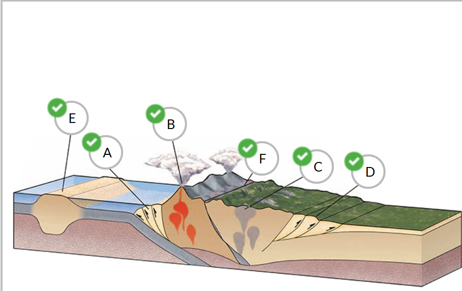 <p><span>Label the diagram of a convergent-margin orogen.</span></p>