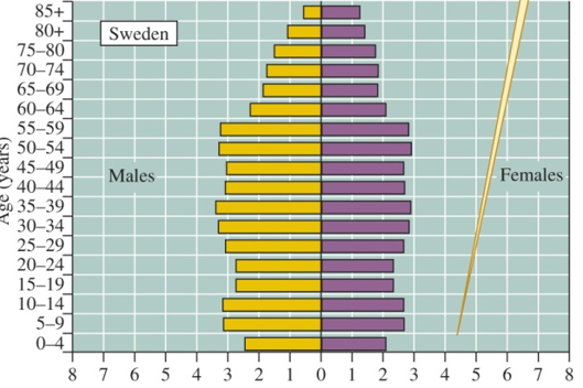 <p>High birth rates and rapid population growth</p><p>high birth rate (growing population)</p>