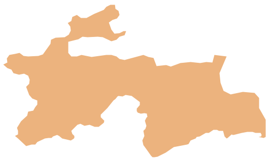 <p></p>