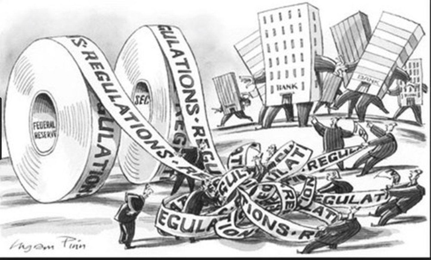 <p>Excessive government rules, regulations, or procedures that slow down decision-making.</p>