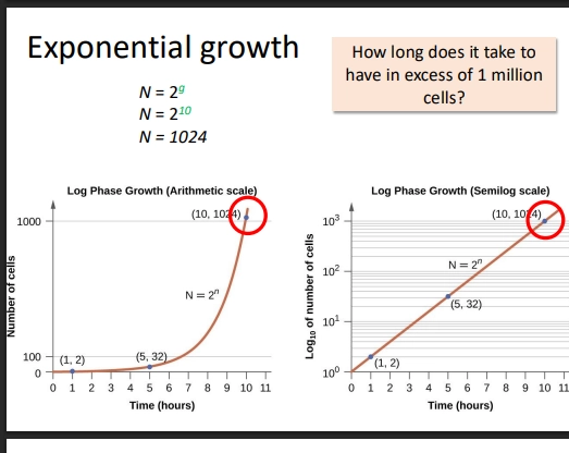 <ul><li><p>we put cell numbers on a log scale, which creates a straight line when plotted for cell number as time increases, rather than an exponential curve which is hard to investigate the changes over time</p></li><li><p>here we can investigate doubling time, N, N0, time taken to reach N cells, etc</p></li></ul><p></p>