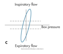 <p>what type is this </p>