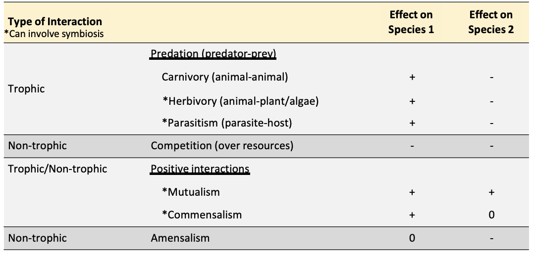 <ul><li><p> Predation, Competition, and Amensalism</p><ul><li><p><span>Feeding vs non-feeding (trophic vs non-trophic). </span></p><ul><li><p><span>Carnivore species 1 could be lion, species 2 could be gazelle. Gazelle dies Lion feeds.</span></p></li></ul></li></ul></li></ul><p></p>