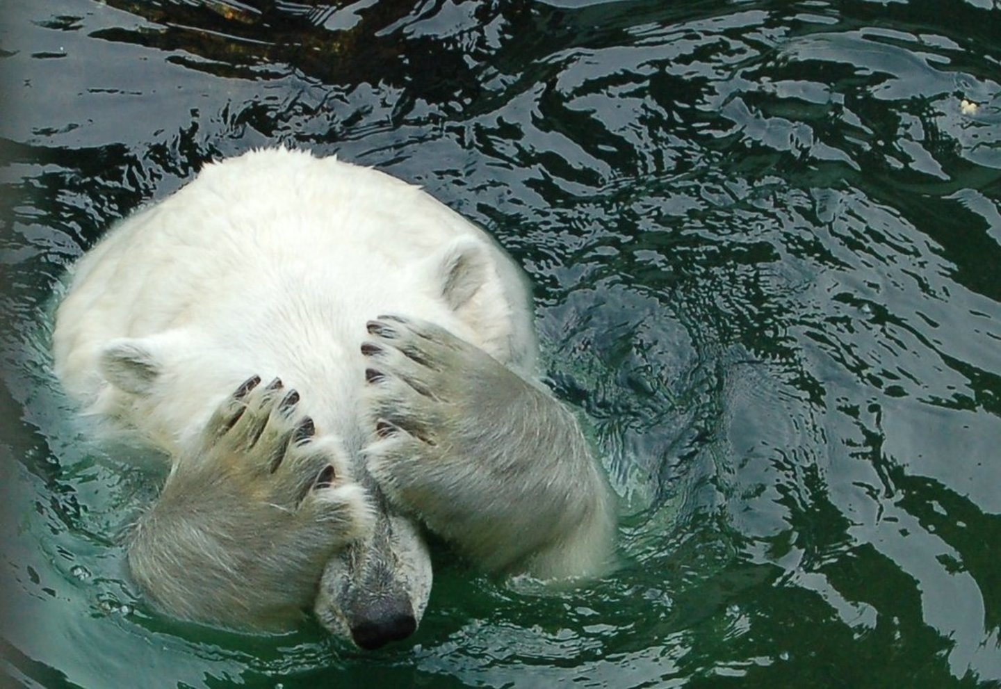 <p>embarrassed</p>