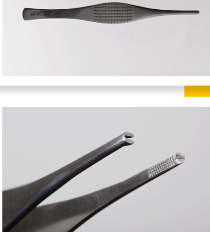 <p>Forceps</p>