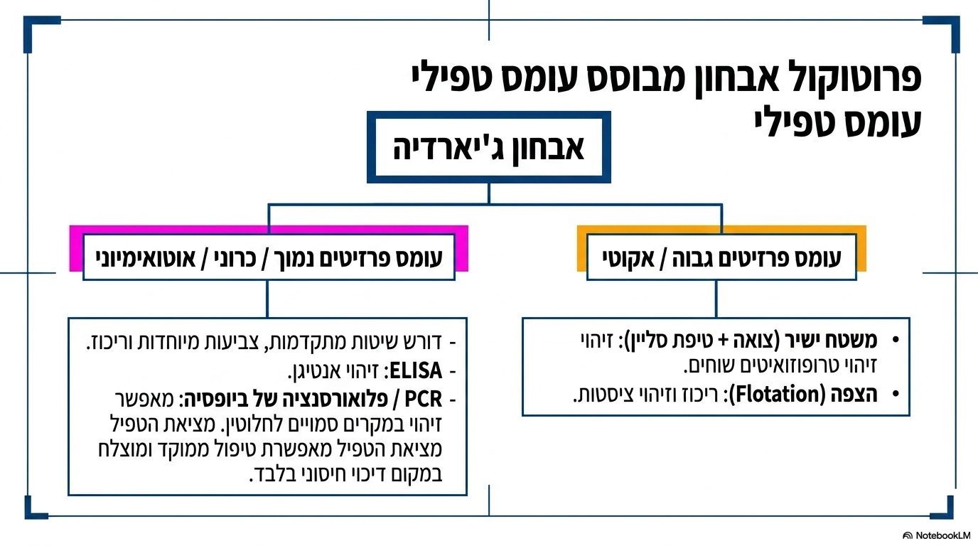 <ul><li><p><strong>משטח צואה ישיר (עם טיפת סליין):</strong> משמש לזיהוי קל של טרופוזואיטים פעילים, אשר נראים כשהם <strong>שוחים בתוך הצואה</strong>.</p></li><li><p><strong>הצפת צואה (פלוטציה):</strong> מיועדת לצואה המכילה ציסטות – יש להציף את הציסטות כדי להסתכל עליהן במיקרוסקופ.</p></li><li><p><strong>כאשר יש מעט פרזיטים:</strong> יש להשתמש ב<strong>צביעות מיוחדות</strong> ולבצע ריכוז של הפרזיטים.</p></li><li><p><strong>בדיקות מתקדמות ומהירות:</strong></p><ul><li><p>בדיקת <strong>אלייזה</strong> לאיתור אנטיגן הטפיל בצואה.</p></li><li><p>בדיקת <strong>פי.סי.אר</strong> מולקולרית.</p></li></ul></li></ul><p></p>