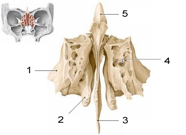 <p>#1 “structure”</p>