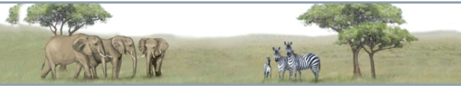 <p>community</p>