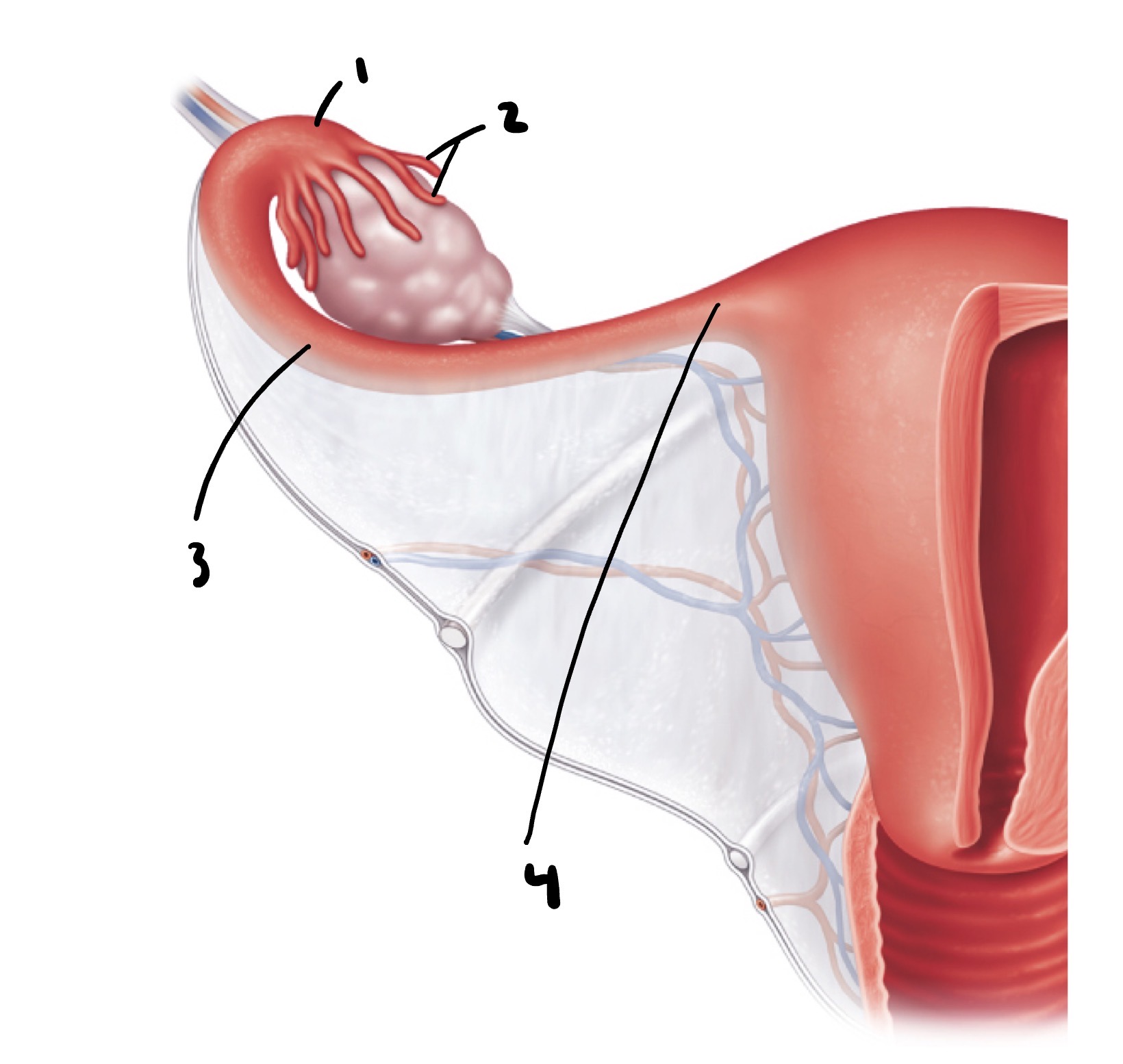 <p>1</p>