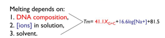 <ul><li><p>DNA composition (amount of G+C)</p></li><li><p>ions in solutions</p></li><li><p>solvent </p></li></ul><p></p>