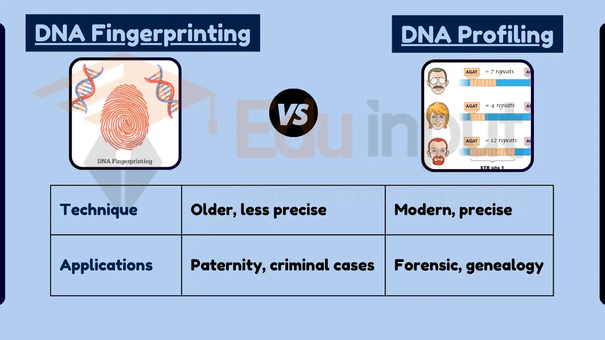 <p><strong><mark data-color="rgba(0, 0, 0, 0)" style="background-color: rgba(0, 0, 0, 0); color: inherit;">DNA fingerprinting, the older technique (1980s), focuses on minisatellites and RFLP, while DNA profiling is the modern, highly sensitive standard focusing on short tandem repeats (STRs) and PCR</mark></strong><span>.</span></p>