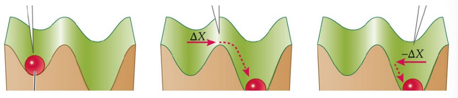 <p>What process or concept is this figure illustrating?</p>