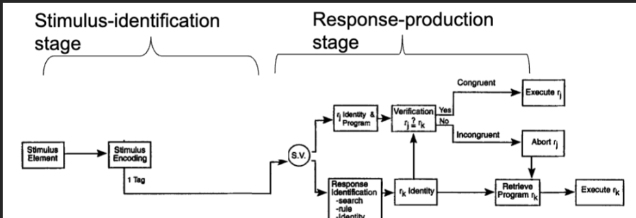 <p><span>reaction times and accuracy depend on the similarity (overlap) between stimulus and response sets. </span><span style="line-height: 22.0875px;">Contains stimulus-identification response and response production stage.&nbsp;</span></p>