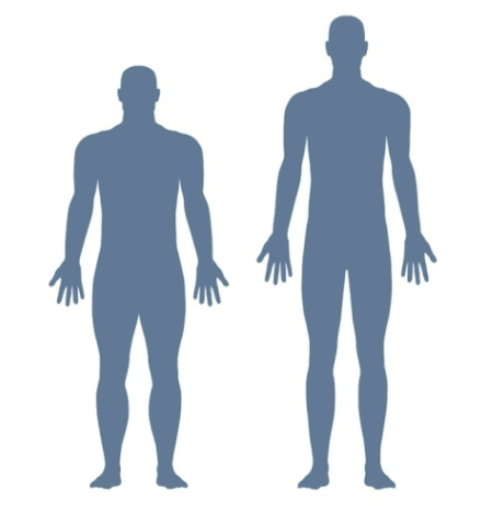 <ul><li><p>large nasal aperture (heat the air)</p></li><li><p>large infraorbital foramina (hold in check that allows blood flow to face)</p></li><li><p>stocky body (this reduced surface area relative to body size reduces heat loss)</p></li><li><p>short limbs (reduces surface area to reduce heat loss)</p></li></ul><p></p>