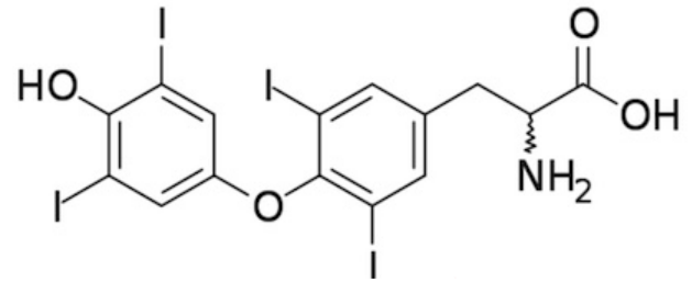 <p>Name of this hormone?</p>