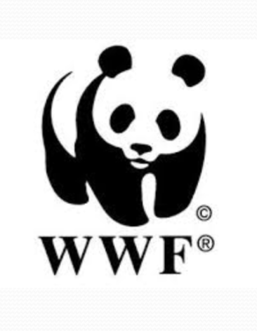 <p>Essentially, groupings occur to make the resultant figure as simple as possible.</p><ul><li><p>In the figure you see a panda, not a collection of unconnected splotches.</p></li></ul><p></p>