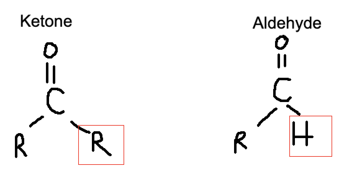 <p>Both are monosaccharides</p><ul><li><p>Ketoses: has ketone group on Carbon 2 (good rule: the carbonyl group in ketose is usually NOT at the end of the chain)</p></li><li><p>Aldoses: has aldehyde group on Carbon 1</p></li></ul><p></p>