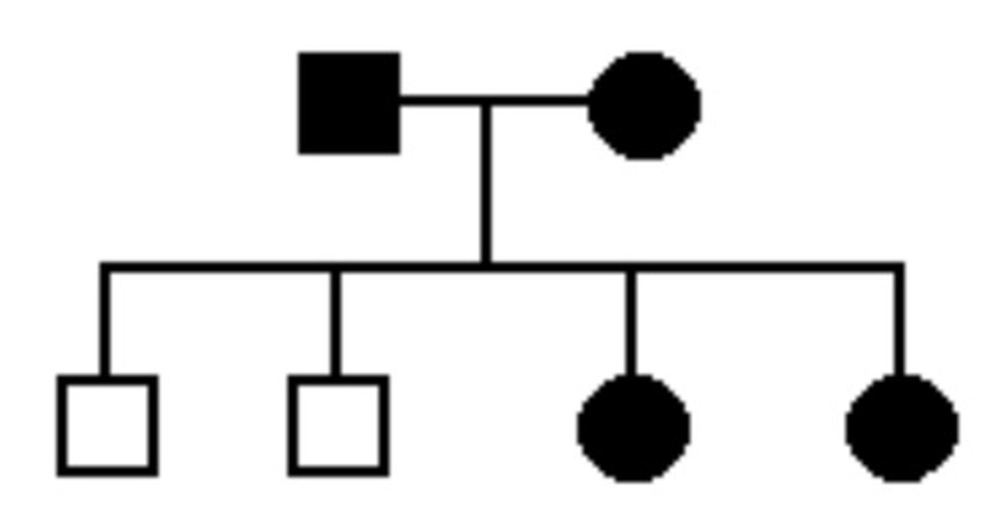 <p>61. The pedigree at right shows a family with a disease pattern indicated by shaded symbols. Which of the following patterns of transmission for this gene are consistent with this pedigree?</p>
