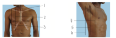<p>5</p>
