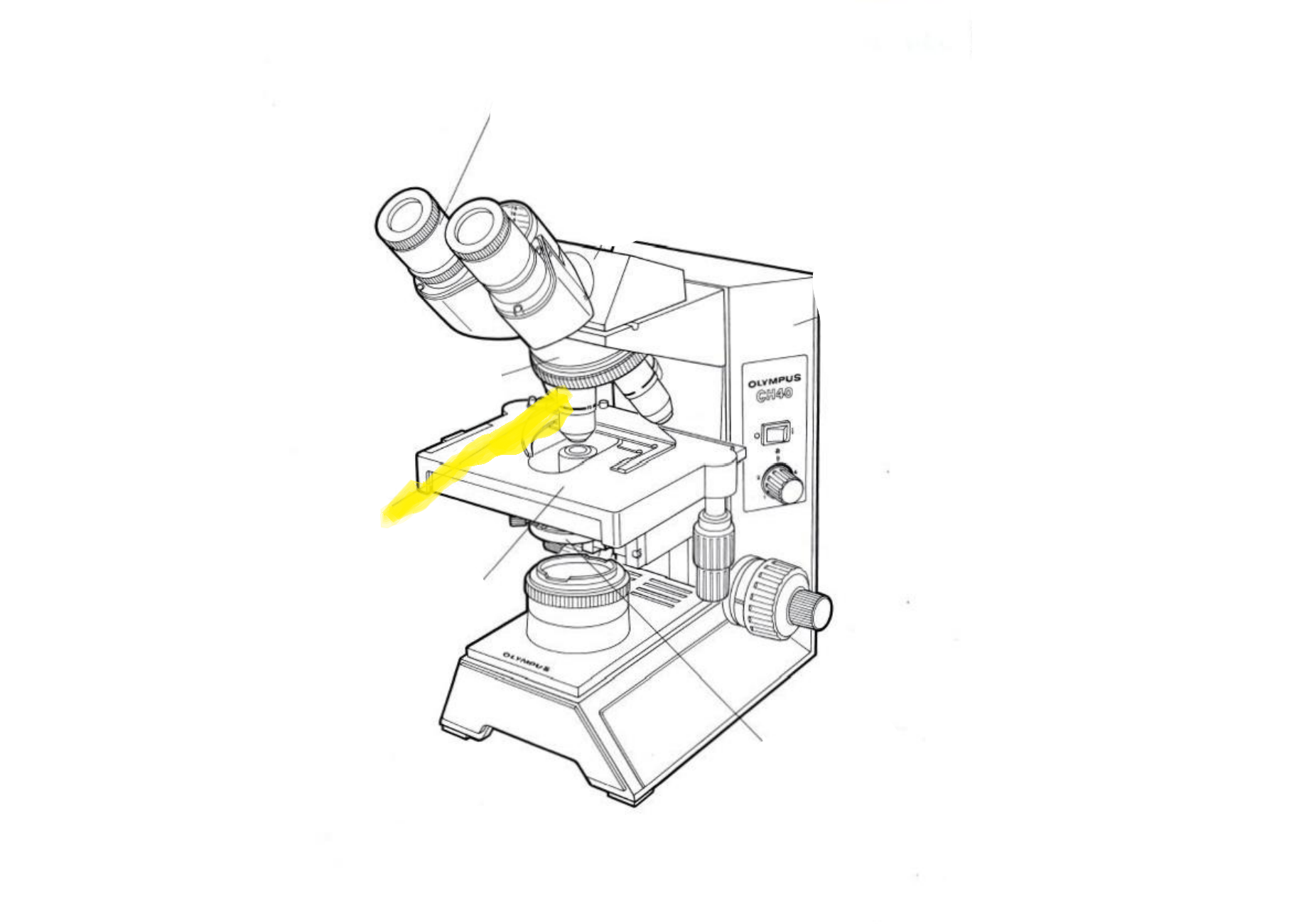 <p>Label the part of the microscope highlighted in yellow</p>