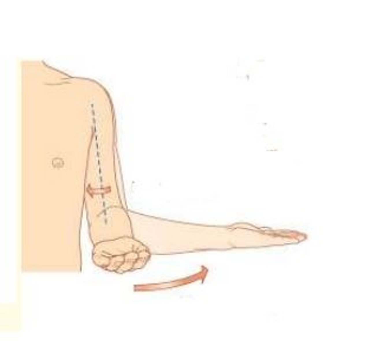 <p>Movements of the Upper Limb</p><p>What movement is this?</p>
