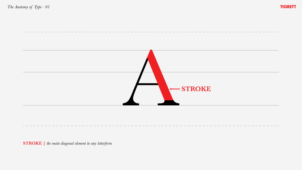 <p>Thicks and thins of the letters/body </p>