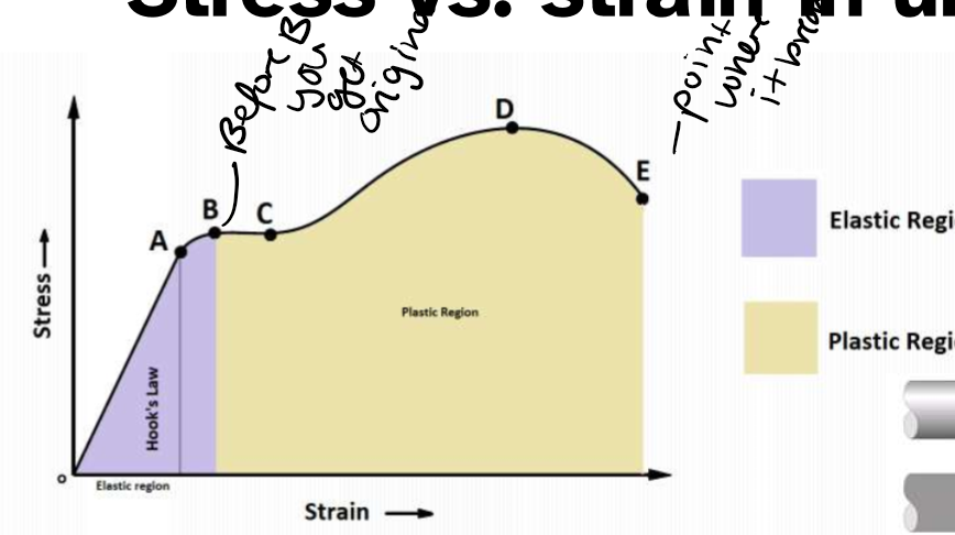 <p>whats happening in each letter</p>
