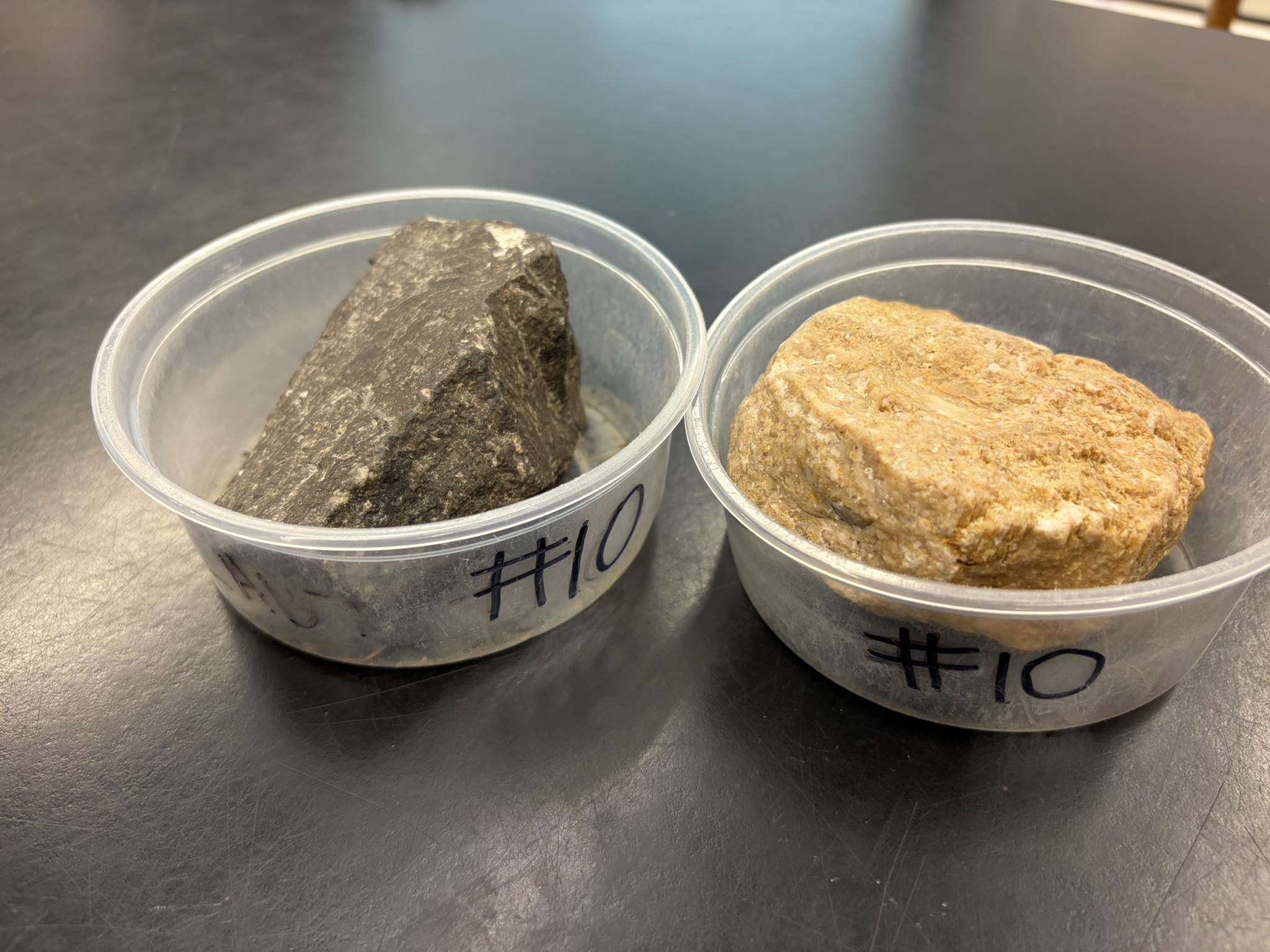 <p>Detrital<br>Clastic<br>Marine Environments<br>Low Energy</p>