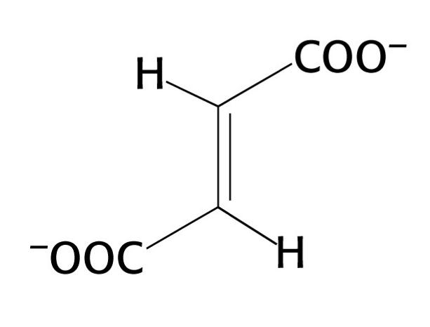 <p>what structure is this?</p>