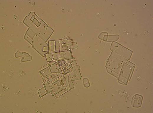 <p>What type of crystal is this?</p>