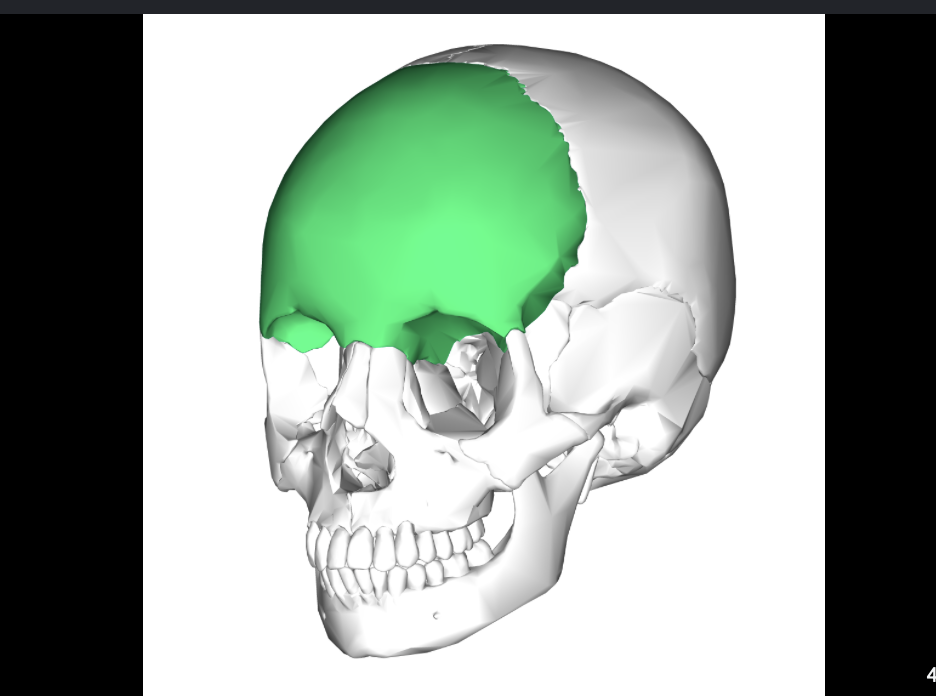 <p>green</p>