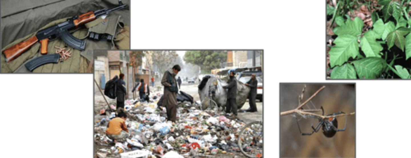 <p>a composite of ongoing or potential enemy actions; adverse environmental, occupational, and geographic and meteorological conditions; endemic and emerging diseases; and employment of CBRN weapons (to include weapons of mass destruction that have the potential to affect the short-or long-term health (including physcological impact) of personnel)</p>