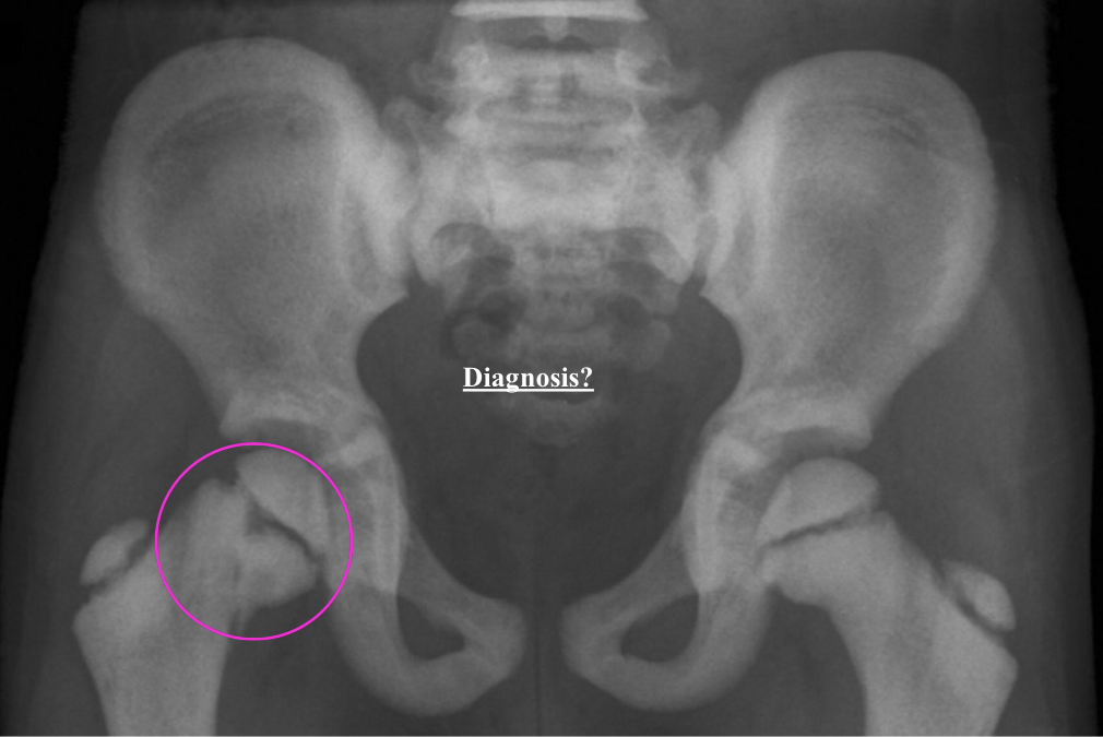<p>What is the dx</p>