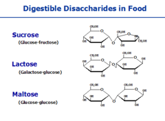 <p>A carbohydrate made two monosaccharides joined together. Three important: Sucrose, Lactose, Maltose</p><p>Formula: </p><p>C12H22O11</p>